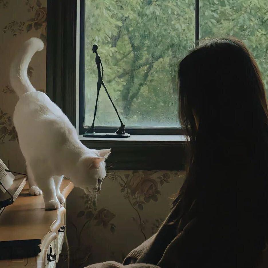 月亮反对流浪🌙