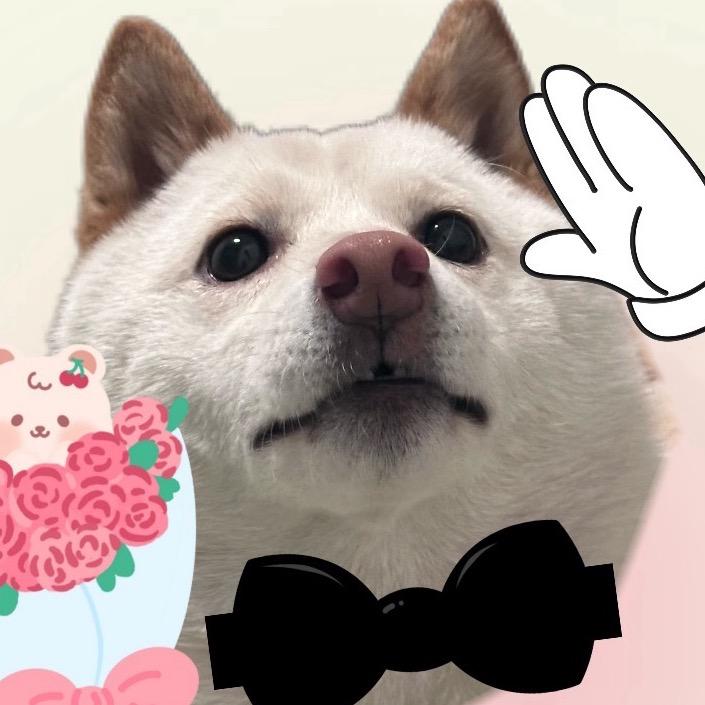 糕手