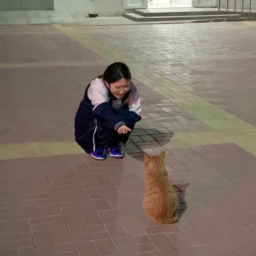 你猜。