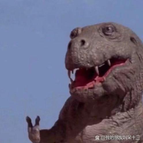 郑凶涨头像