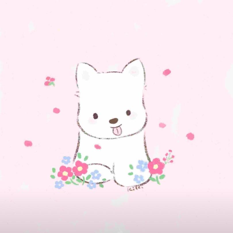 果冻公主