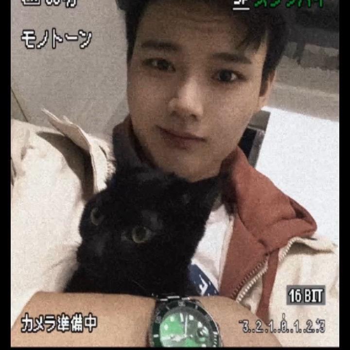 云南小陈