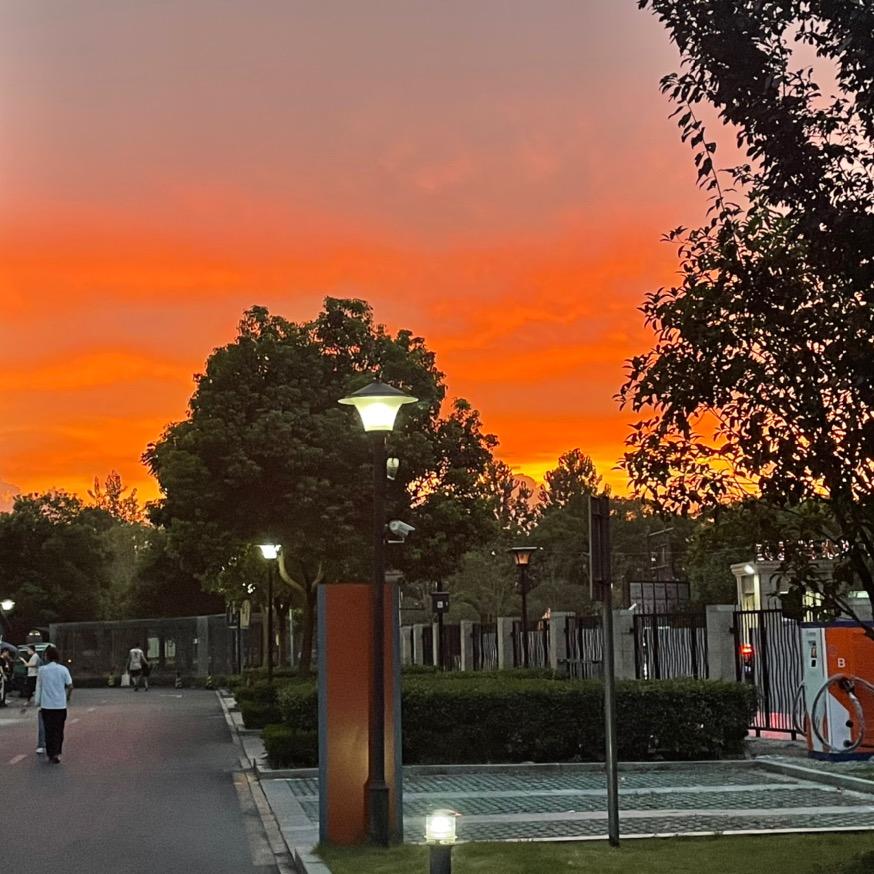 油腻大叔看世界