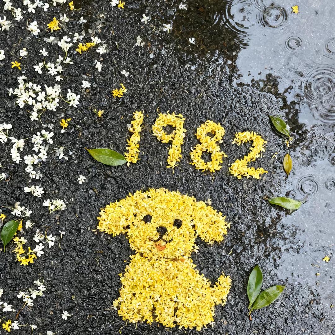 。/女😘✨💋🈷️🌙