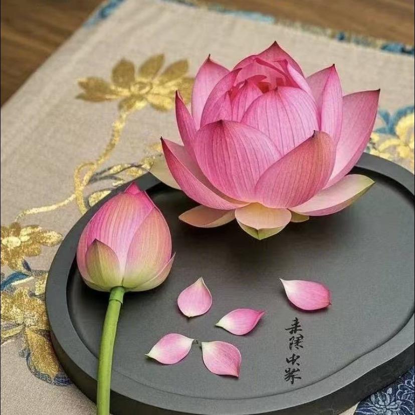 静……拒绝…私聊