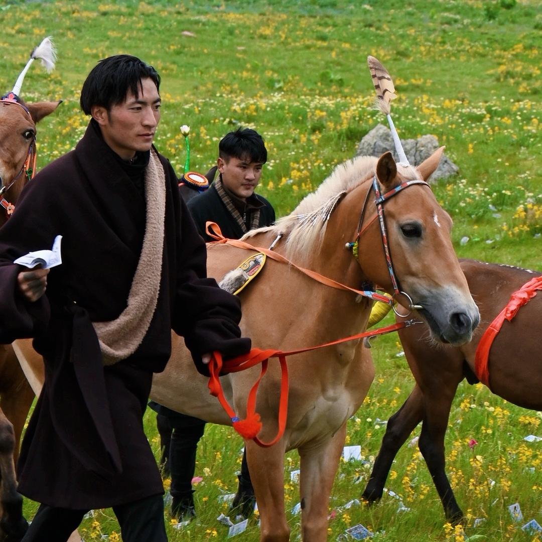 570🐎