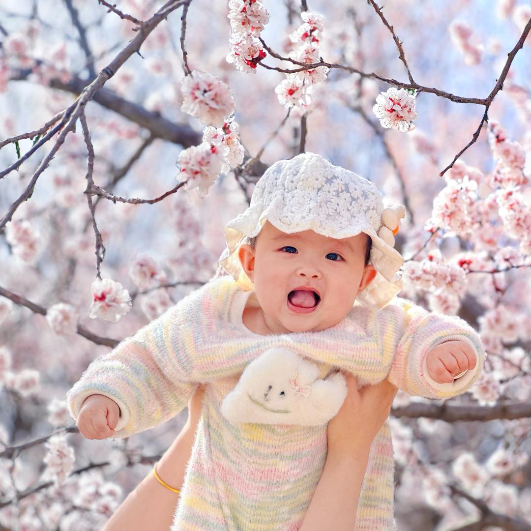 小念念呀🌻