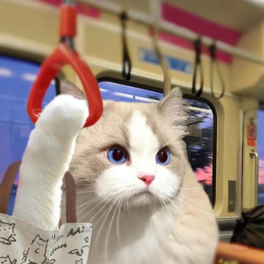 刖喆🧇