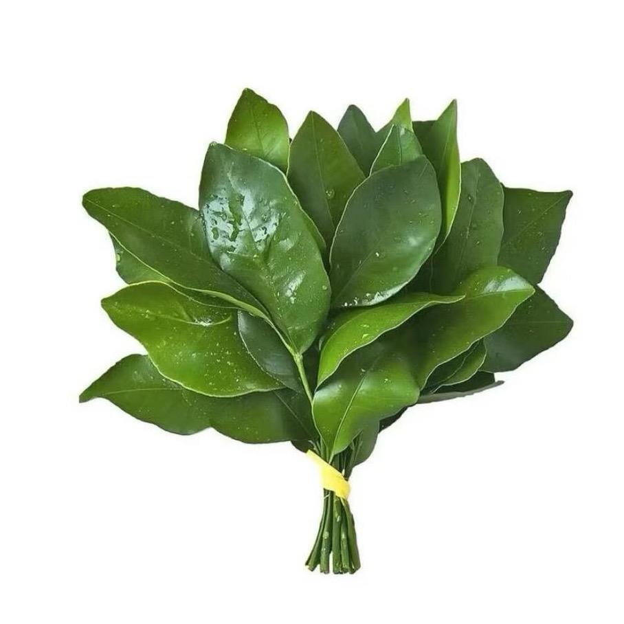 缘来如此