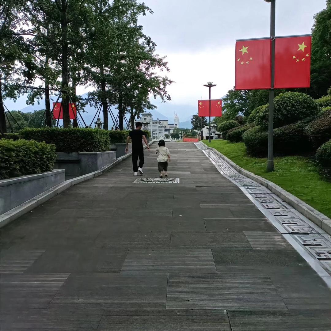 🇨🇳