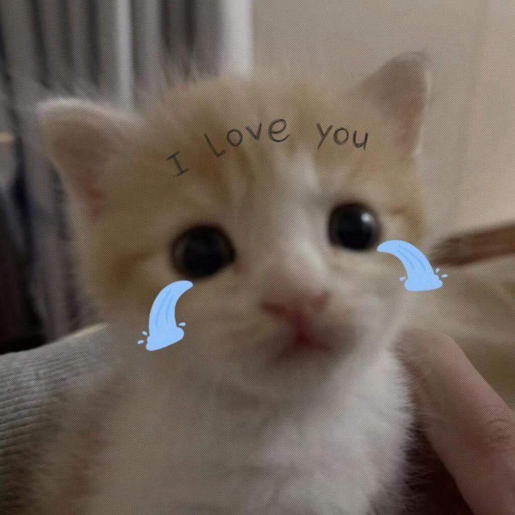unol