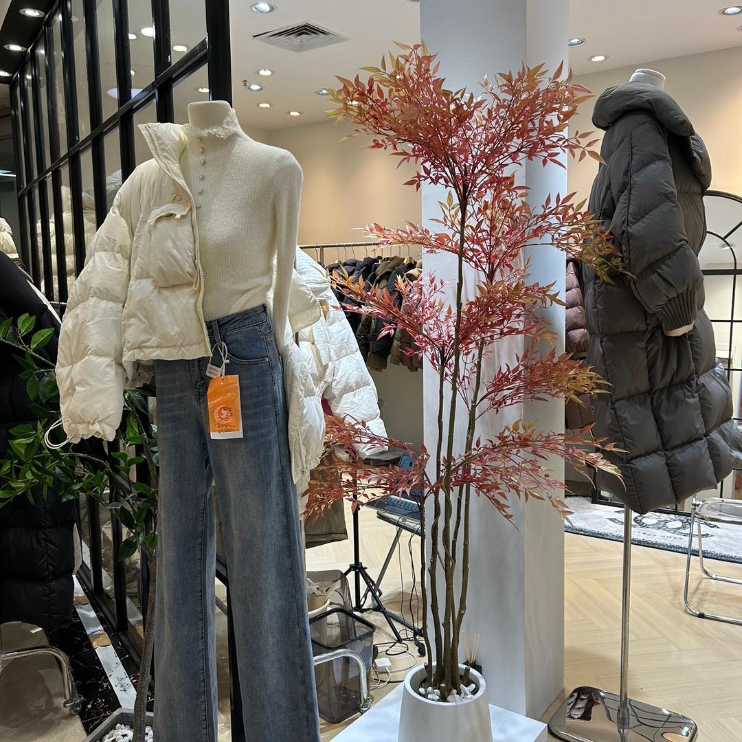 杨老板鹅绒服