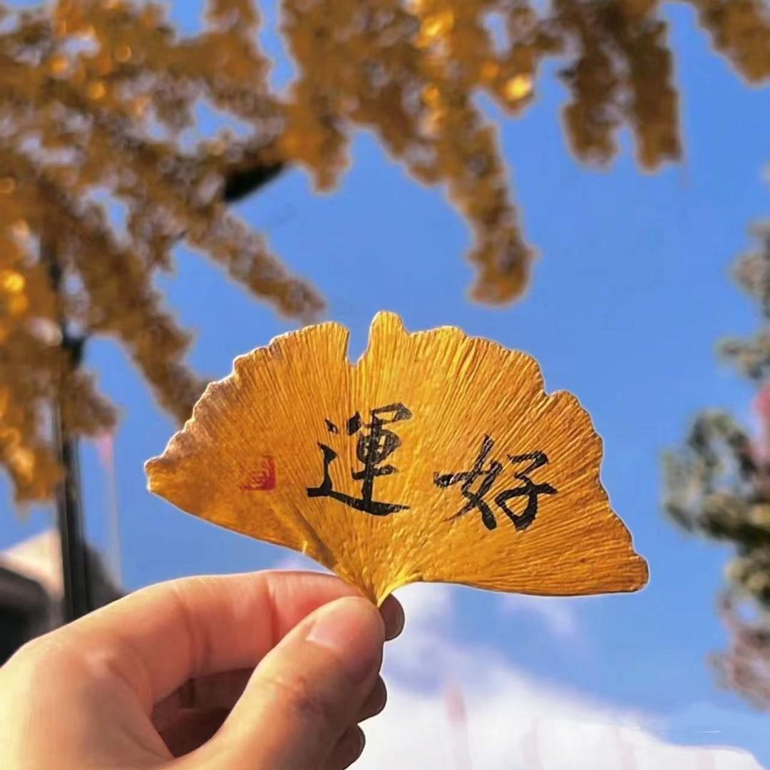 狼人之光