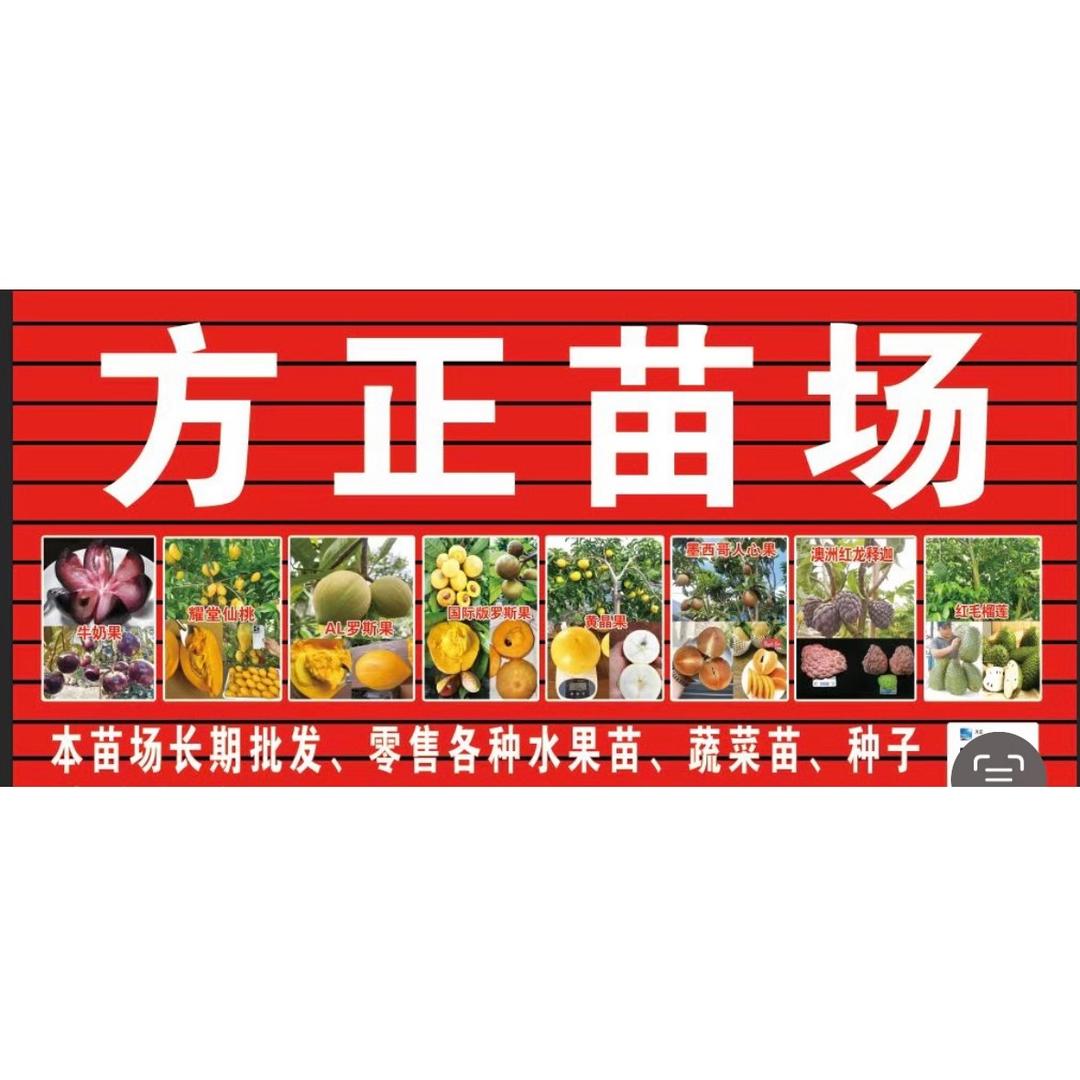 方正