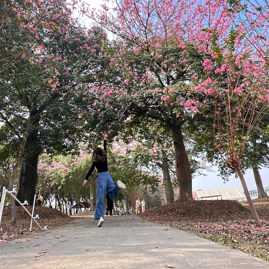 🎶cₐrməŋ ᰔᩚ