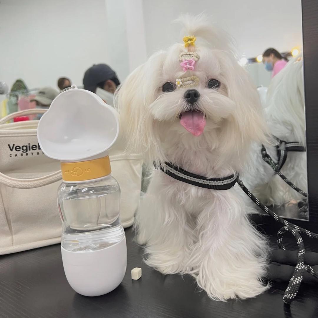 杭州mom马尔济斯
