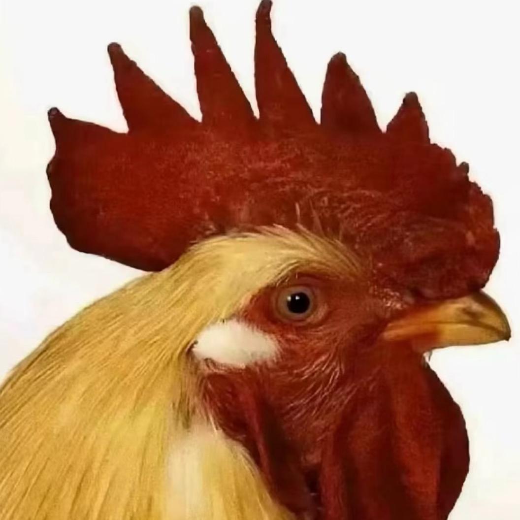 摤