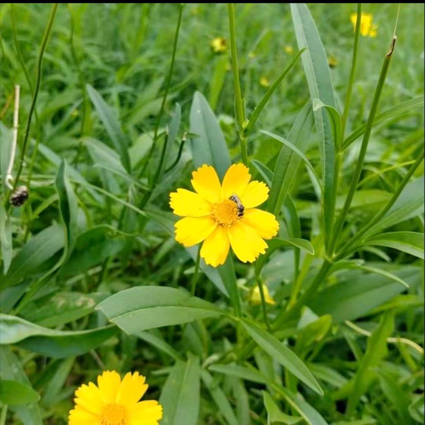 旺财小福星❤️