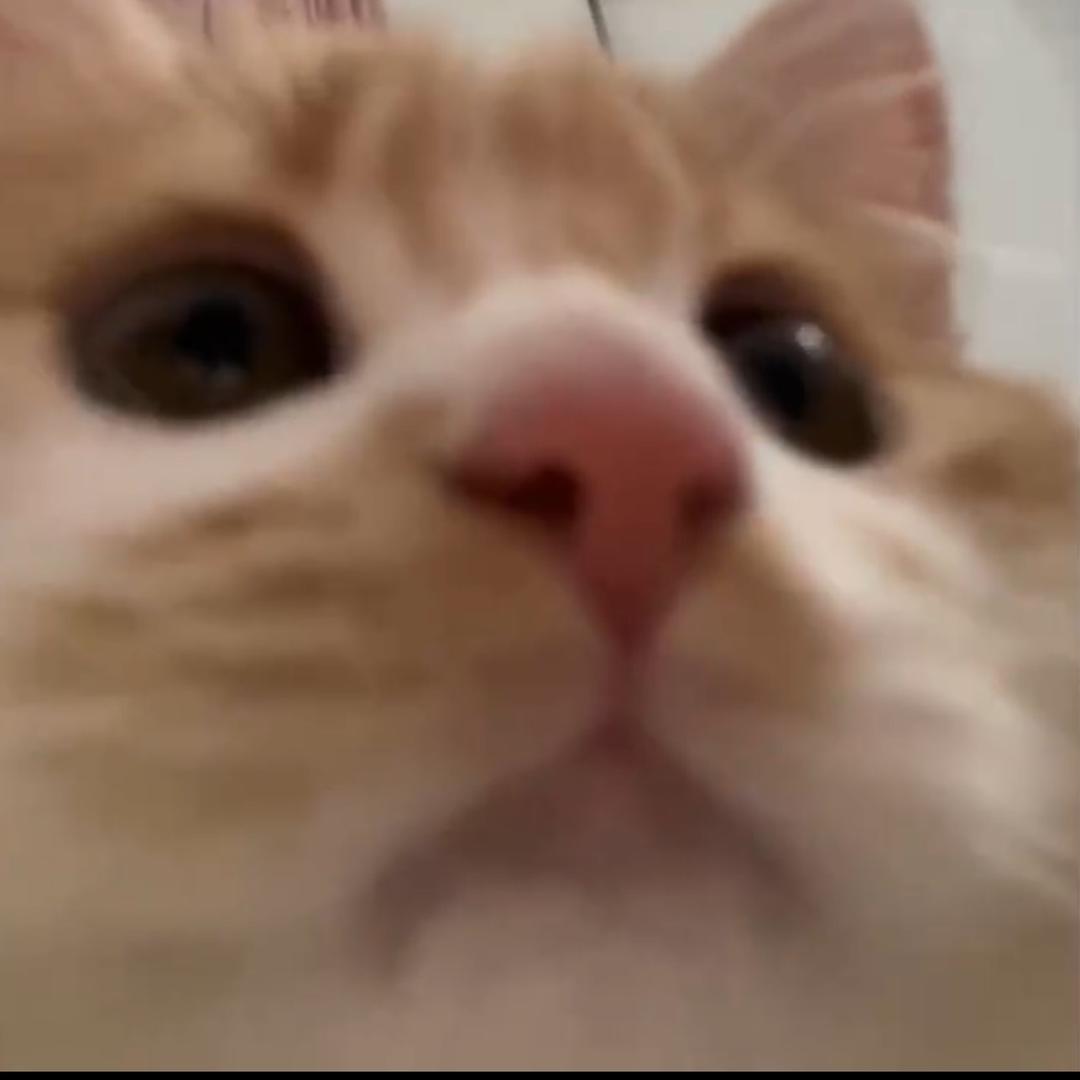 🍗