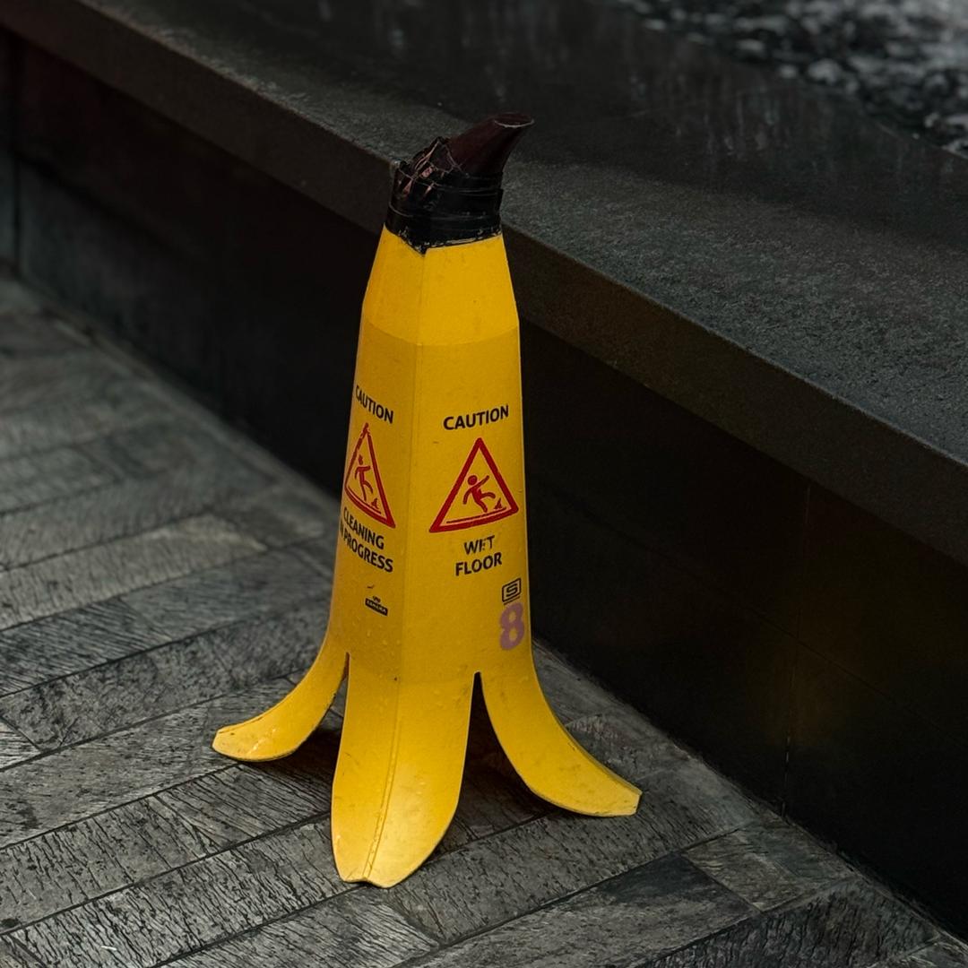 爱吃草莓爱吃菜