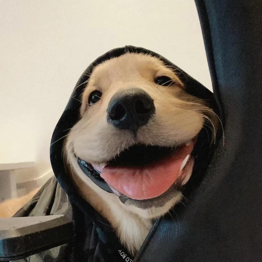 取名叫做忍