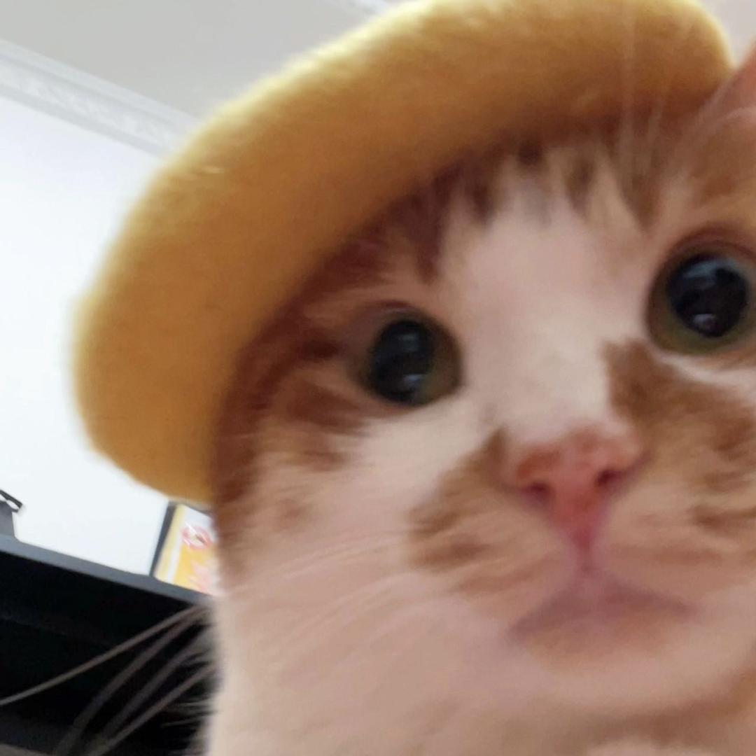叫我小馨