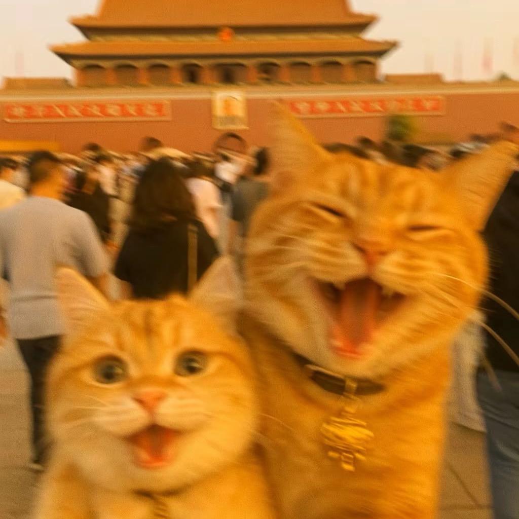 烧包谷的腿毛。