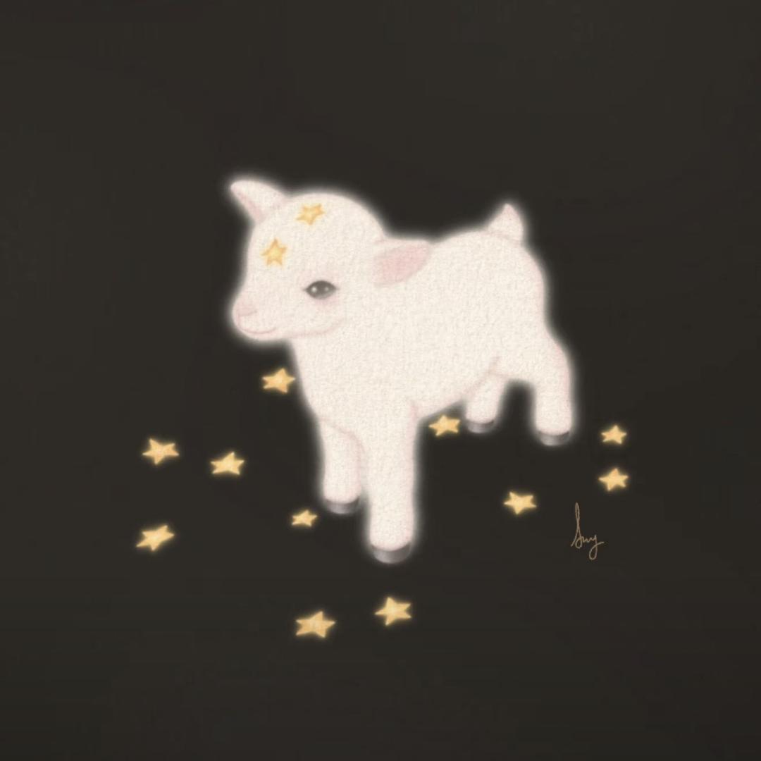 小杨桃