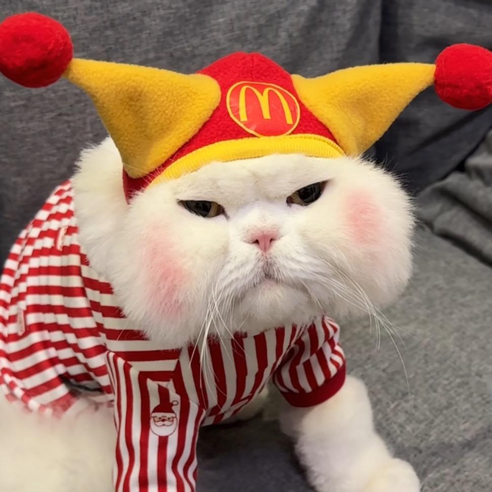 🧀️.奶酪怪