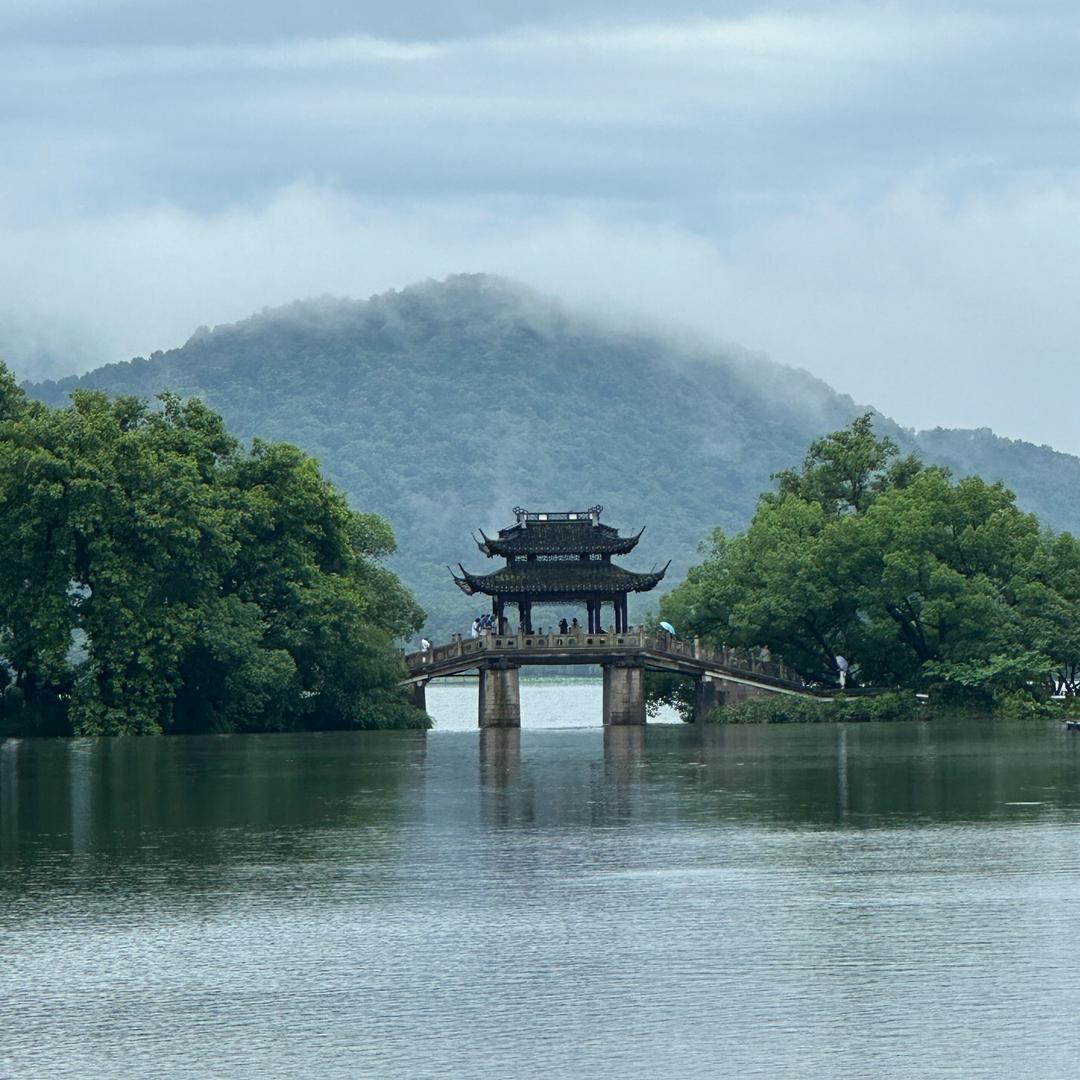 不该