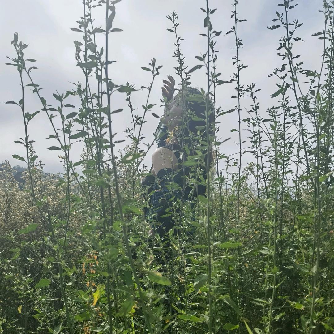 慧美吖