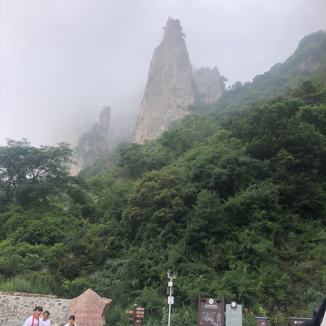 雪中飞