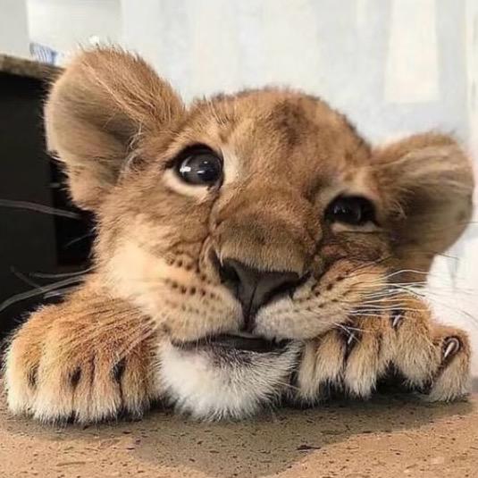 上班族每天做的糊弄饭