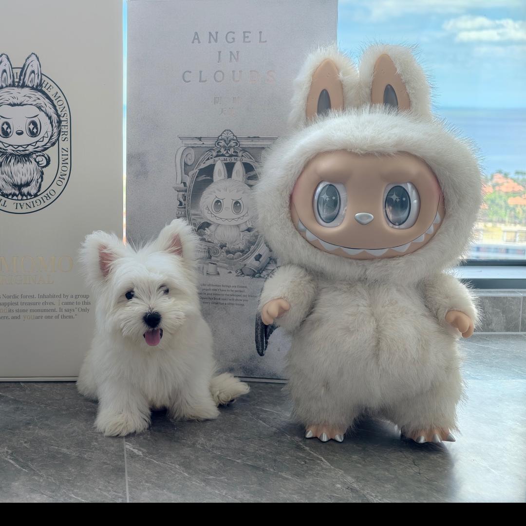 小保安福兮兮