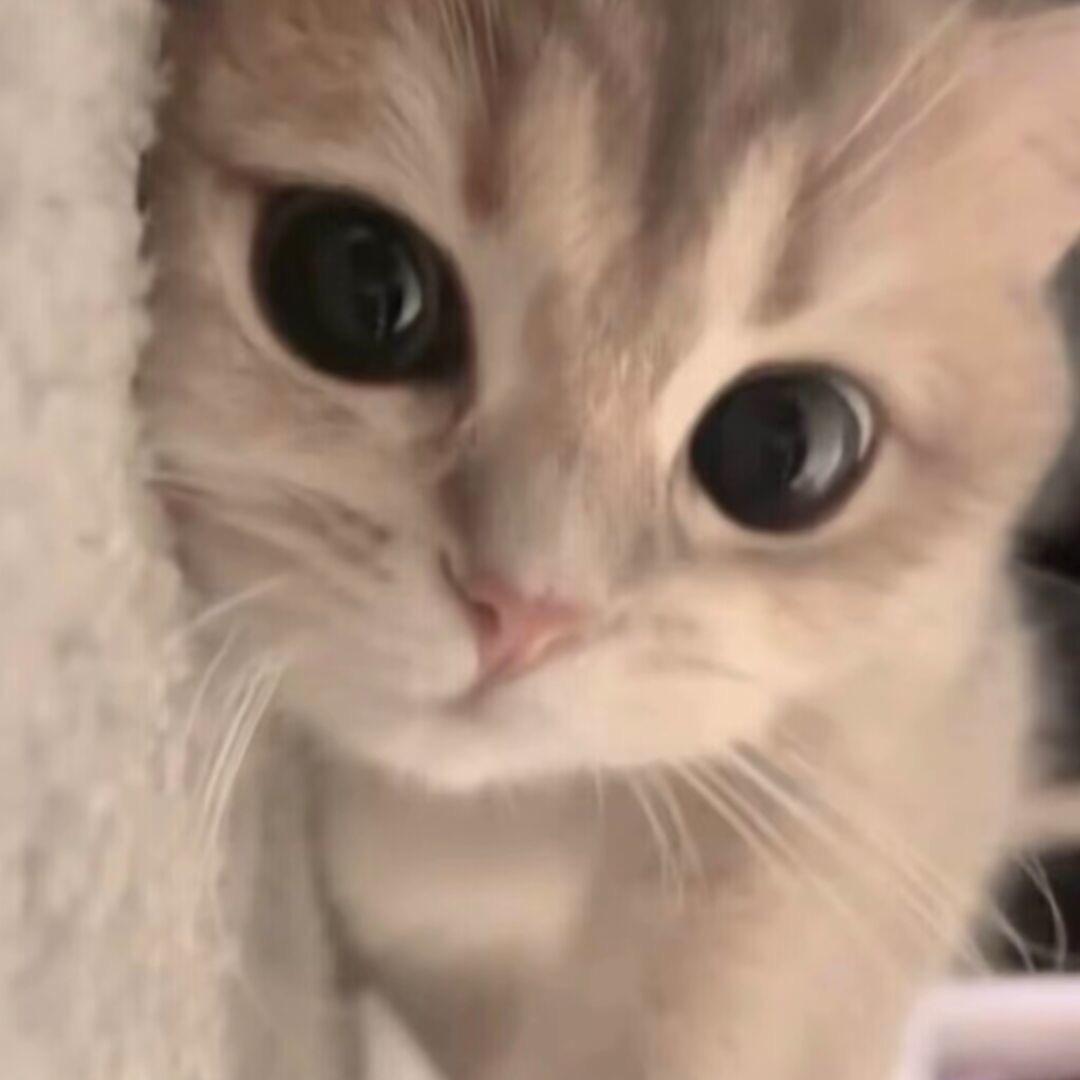 小杰烦烦烦.