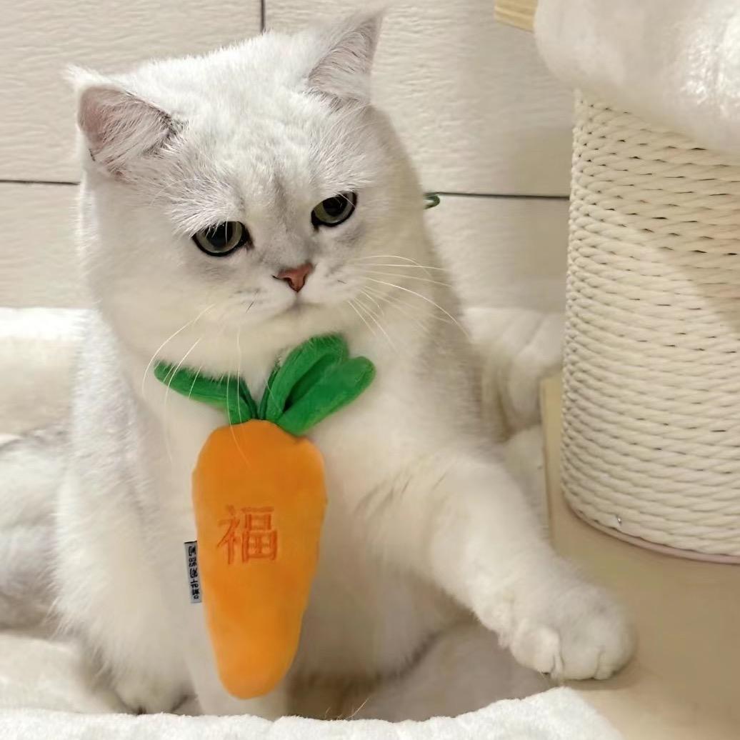 豆糖豆的喵