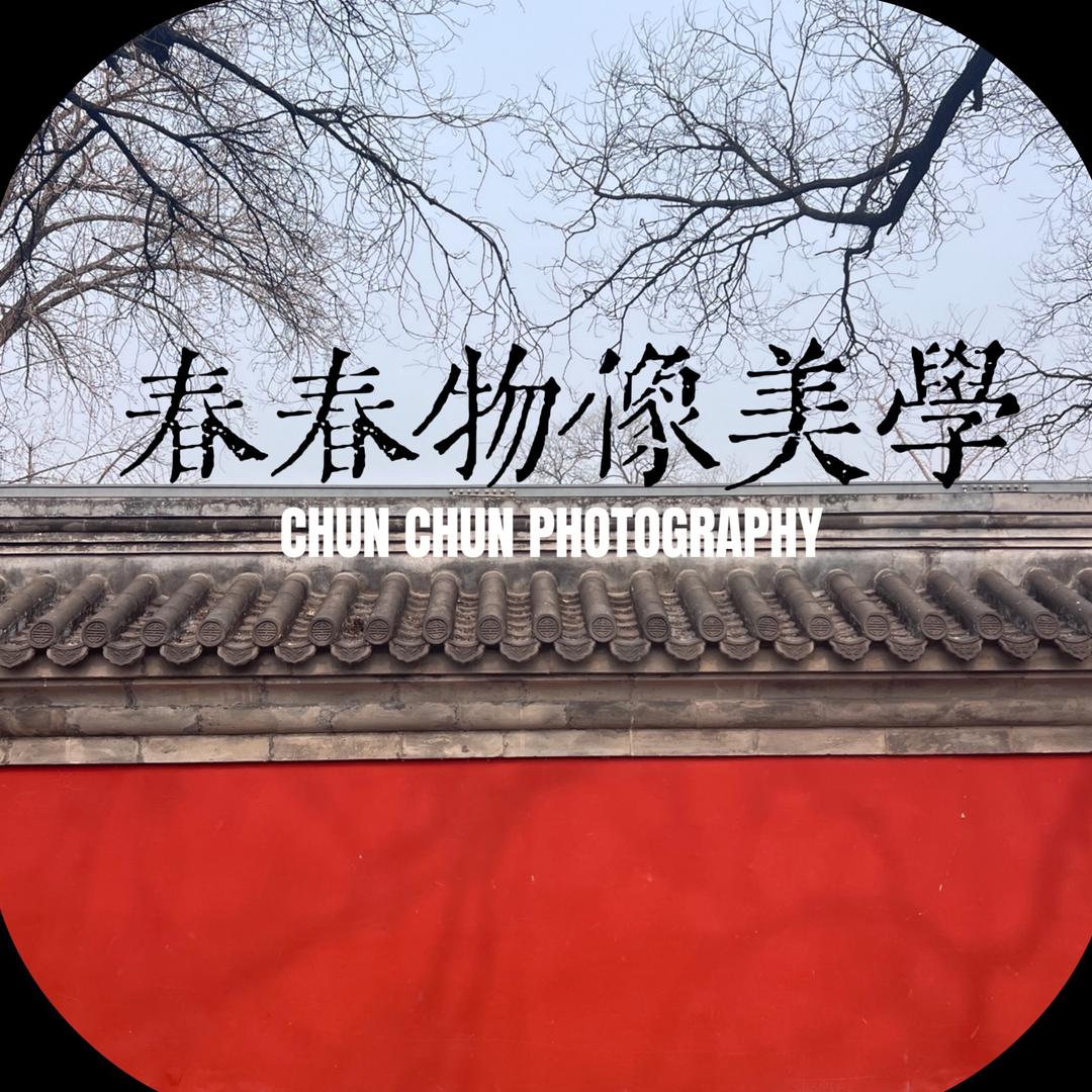 春春物像美学