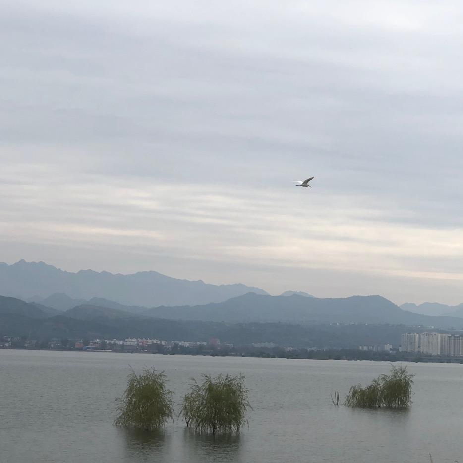 步步高升
