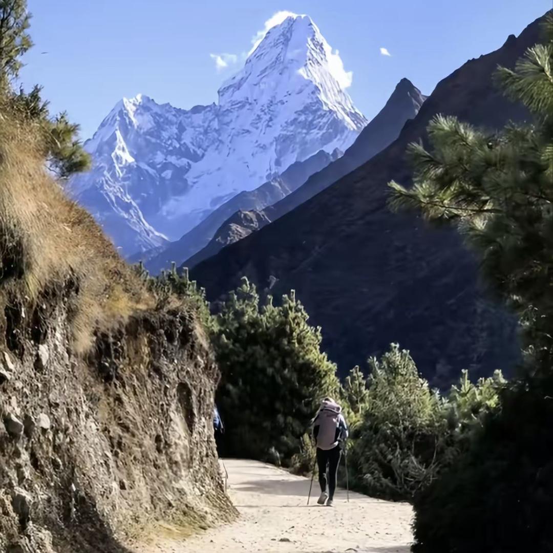 AOIMO峥商运动户外专卖店