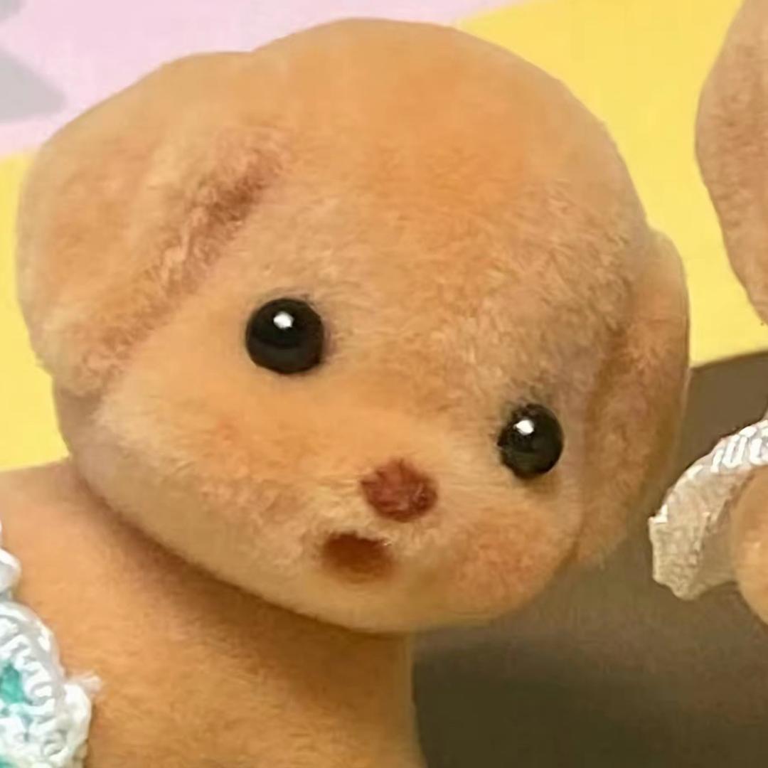 海苔影视拆卡社