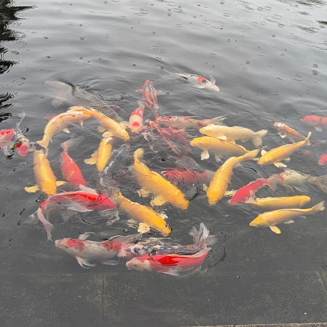 ⭐️星辰大海🌊