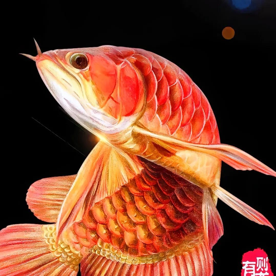 乌审旗听水轩观赏鱼