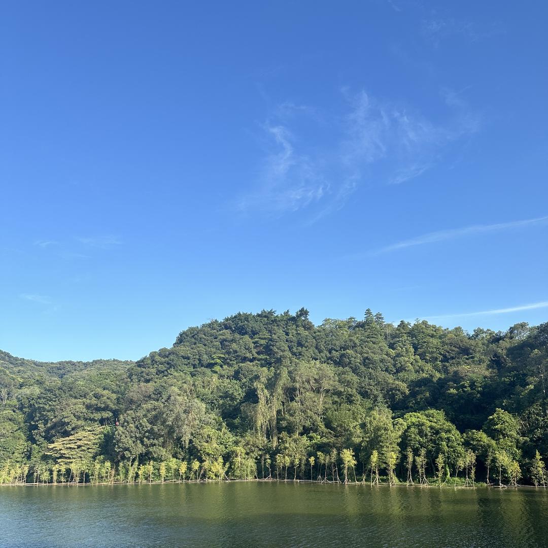 小云灯光测试号