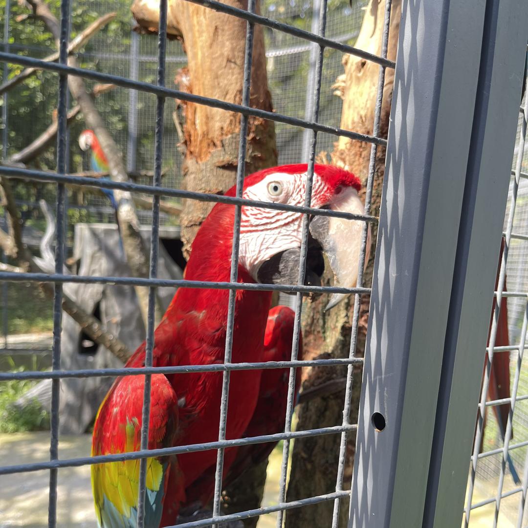 江夏区丰哲爱商贸有限公司