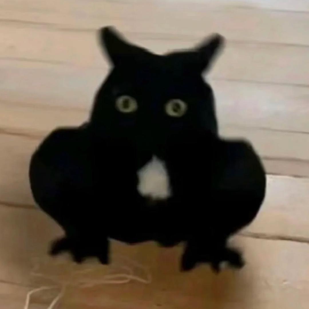 板烧鸡腿堡大王