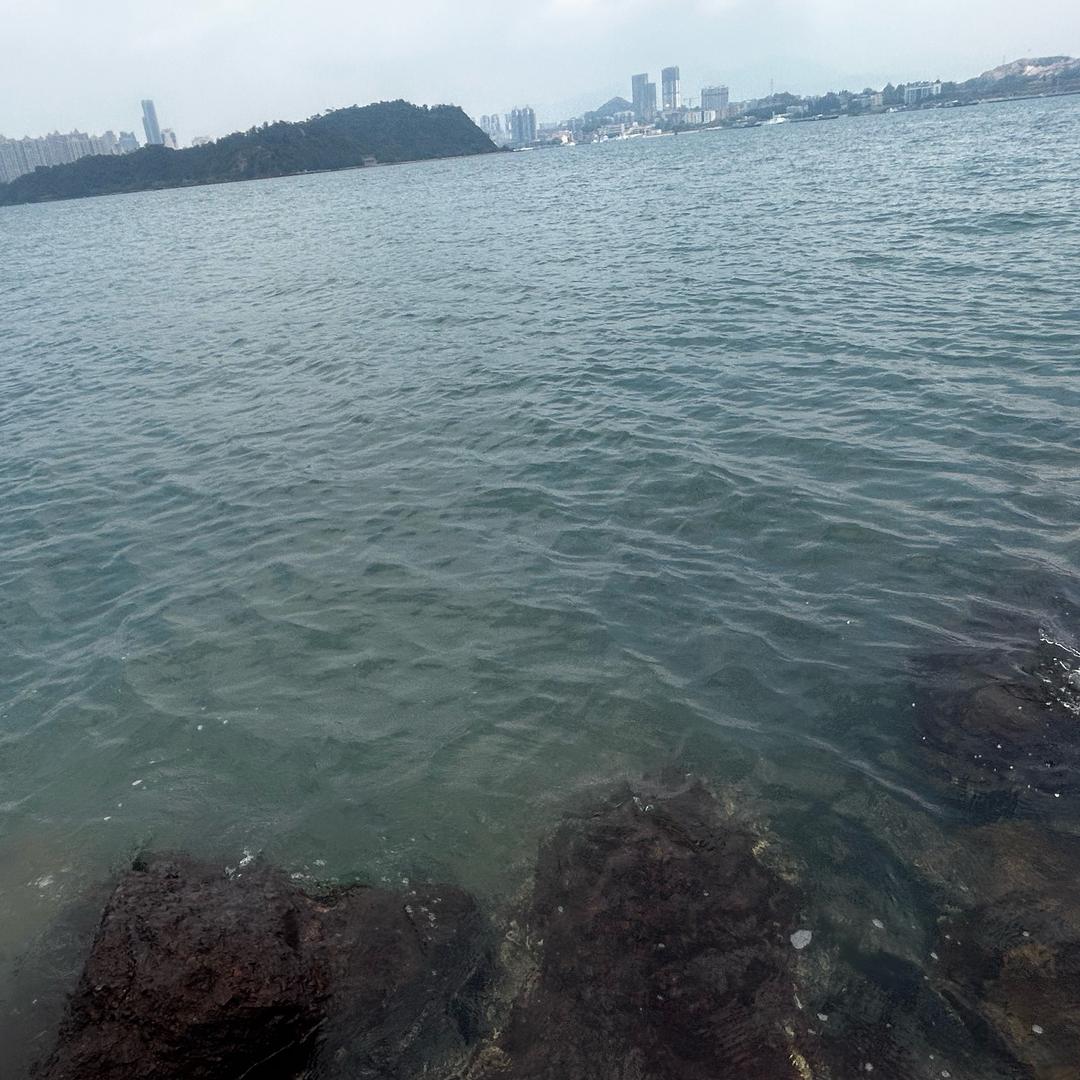 来财来财