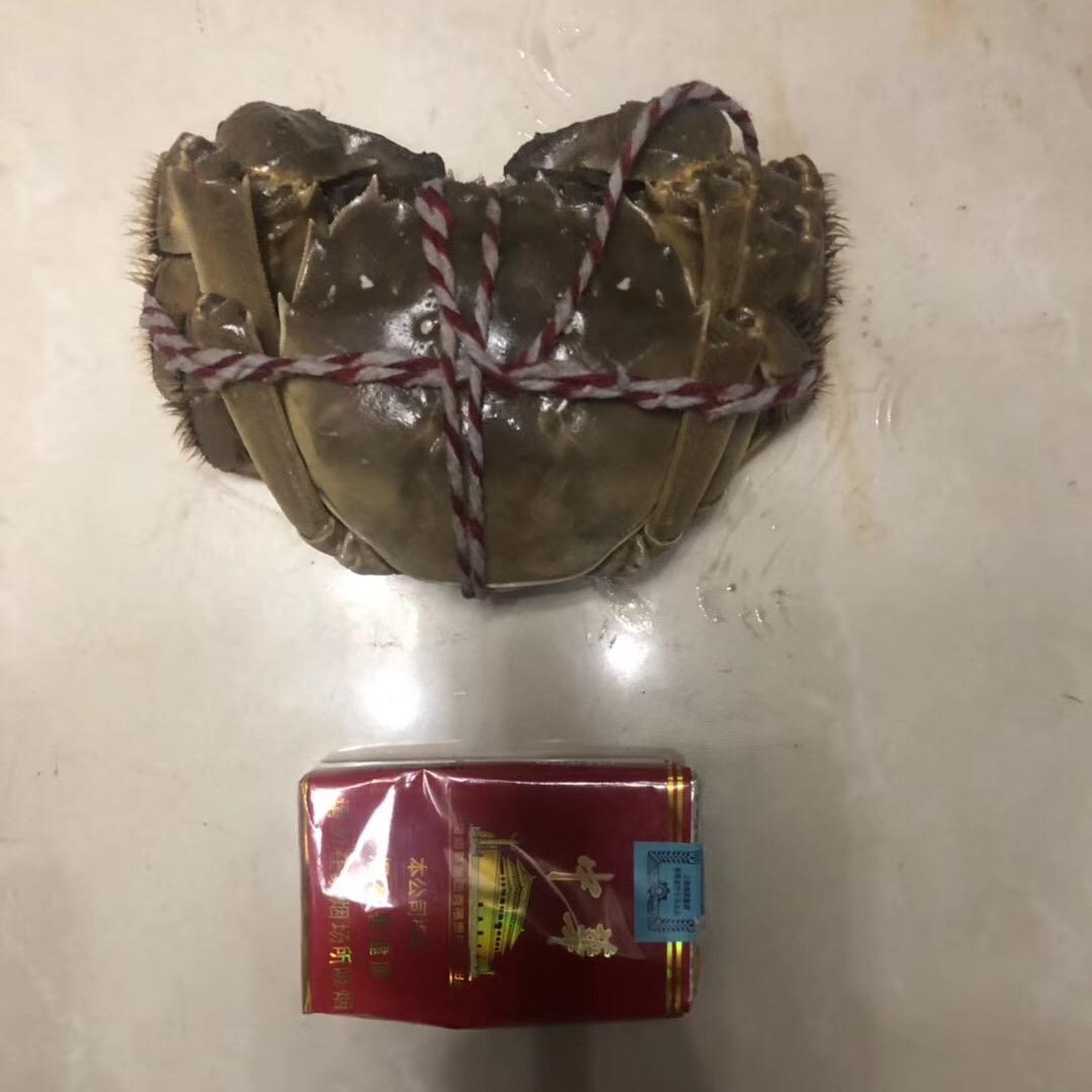 不要因为我是娇花而怜惜我