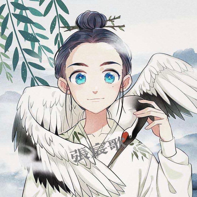 张宸歌