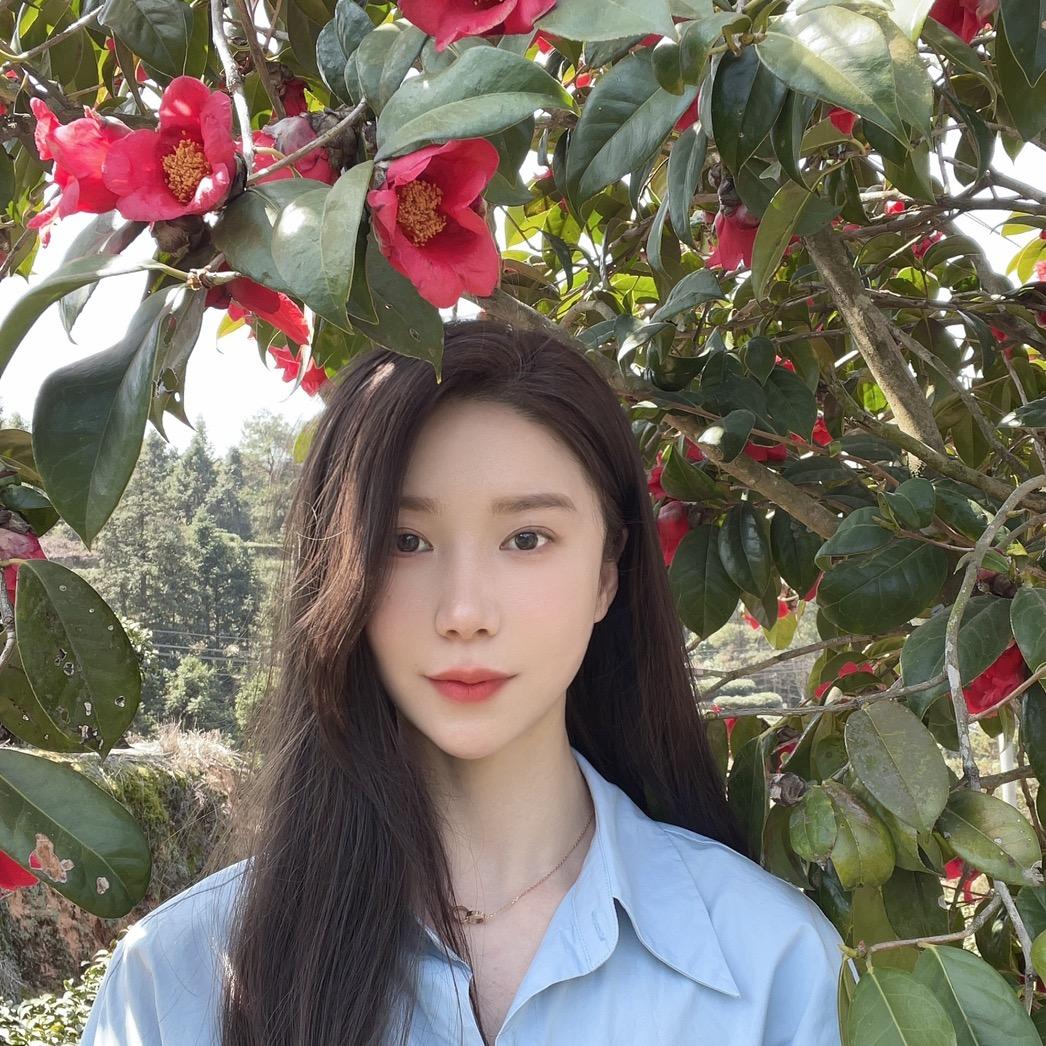 茉莉龙珠源头厂家