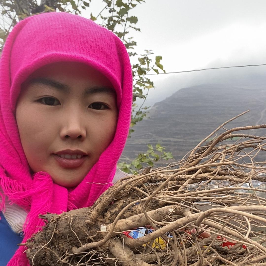 甘肃小吴农产品